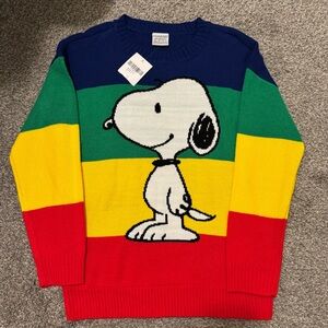 Snoopy Peanuts Colorblock HUGE Graphic Sweater New With Tags | Small